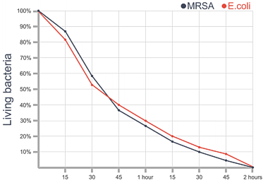 Lab Results